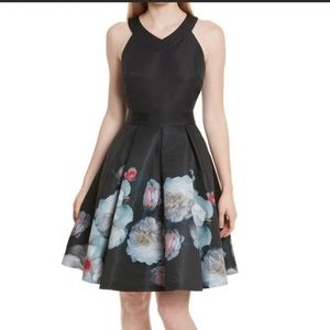 Ted baker Jelina Chelsea floral fit & flare dress